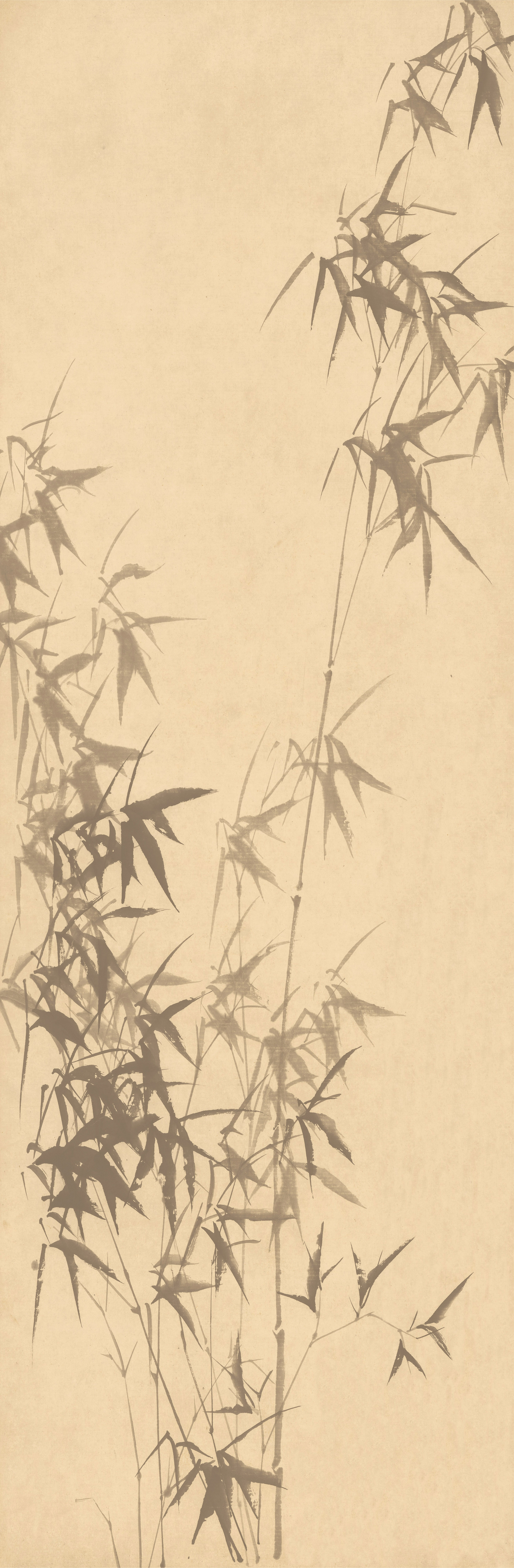 竹夢(mèng)浮生